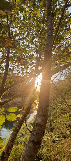 Alder Island Nature Trailhead-林肯县