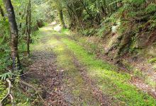 Arorangi Nature Walk景点图片