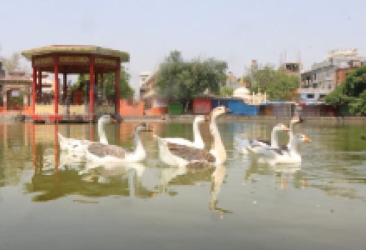 Bageshwory front gate newroad景点图片