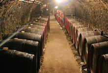 Páll Cellar景点图片