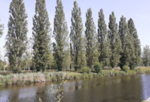 Paroisse Plancoët-Val d'Arguenon景点图片