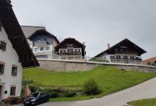 Störmers Pflanzenservice购物图片