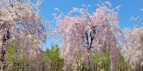 長岡今朝吉記念ギャラリー