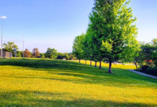 Emricson Park景点图片