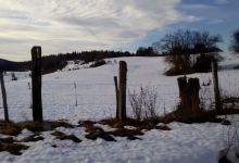 Office National des Forêts (O.N.F)景点图片