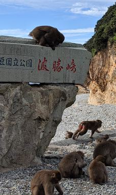 Hagachizaki Monkey Bay-南伊豆町