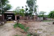 حویلی SARDAR景点图片