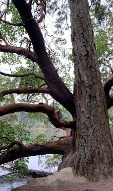 Witty's Lagoon Regional Park-首府地区