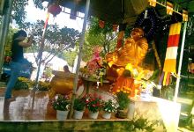 Chùa Tân Minh景点图片