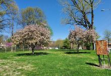 Canterway Park景点图片