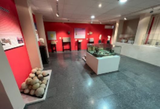 Ulia Museum景点图片