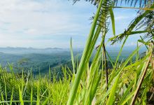 Puncak Bukit Cherakah景点图片