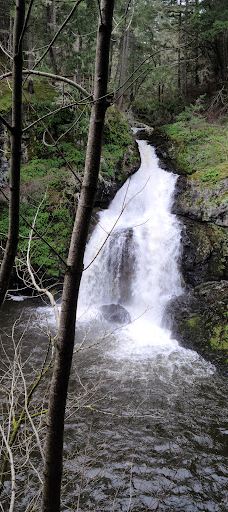 Witty's Lagoon Regional Park-首府地区