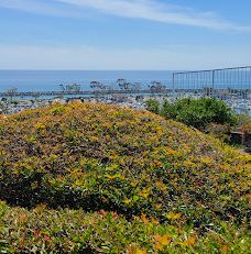 Doris Walker Overlook-达纳点