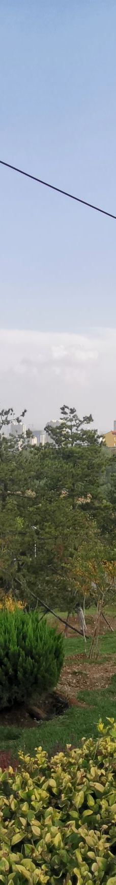 吴王山城郊森林公园-晋城