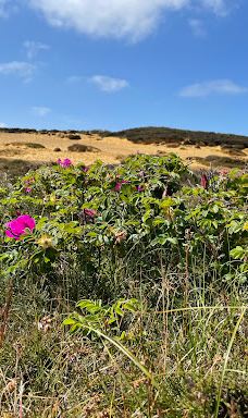 Morsum-Kliff-摩尔苏姆