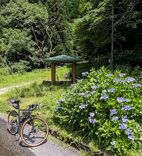 二本杉親水広場