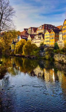 Neckarinsel-蒂宾根