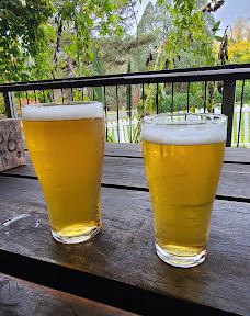 Bright Brewery-布莱特