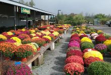 Paul Kellogg's Garden Center购物图片
