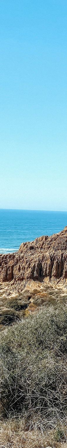 多利松国家自然保护区-佐拉