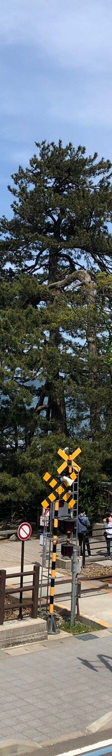 雨晴海岸-高冈市