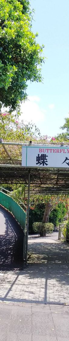 琉宫城蝴蝶园-本部町