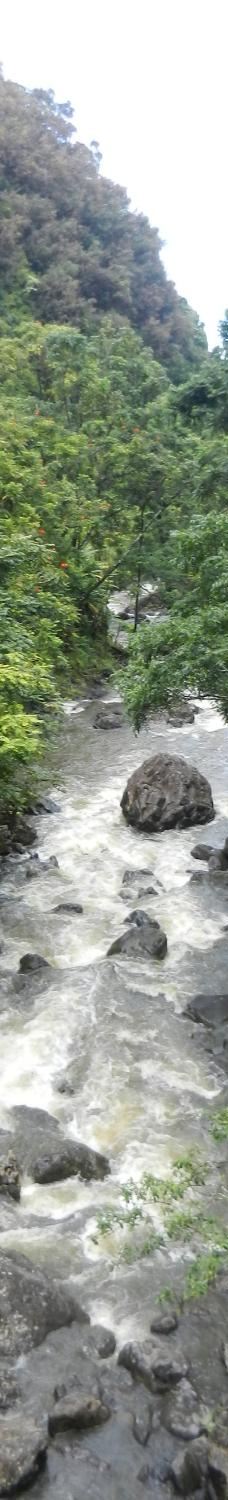 Upper Waikani Falls-茂宜县