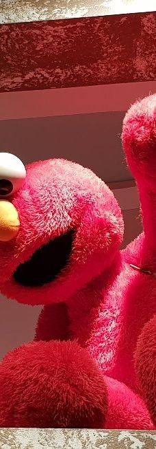 The Strong National Museum of Play-罗切斯特