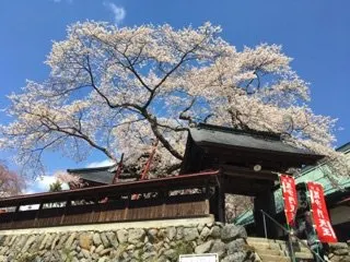 吉祥寺