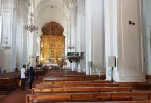 Tomb of St. Francis Xavier景点图片