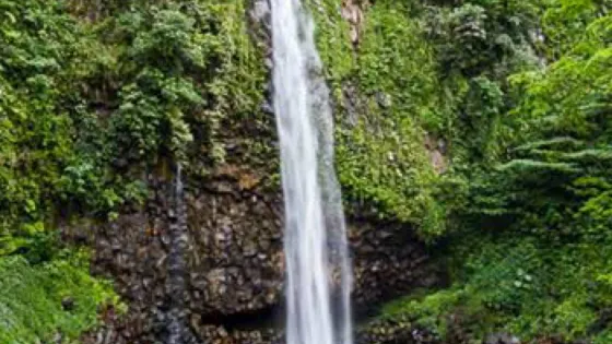Anai Valley Waterfall