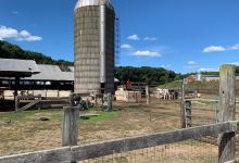 Great Brook Farm State Park景点图片