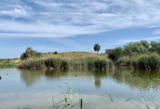 CLOT DE GALVANY景点图片