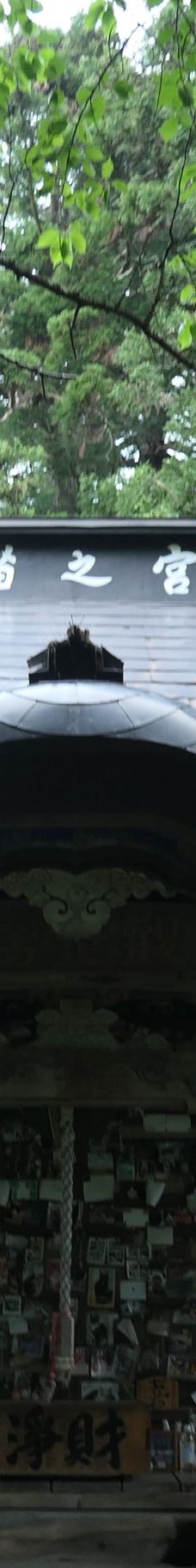 Cat's Shrine-高畠町