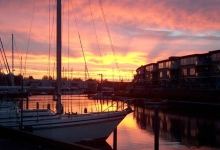 Pekelharinghaven景点图片