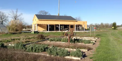 Cueillette de l'Aragnon