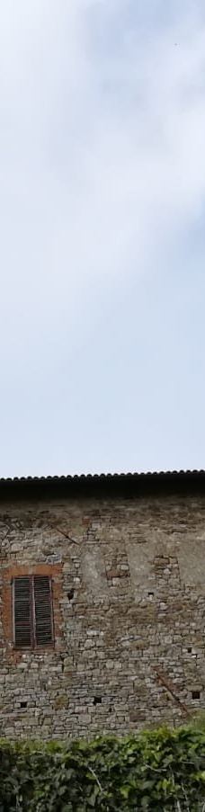 Castello della Boffalora-皮亚琴察省