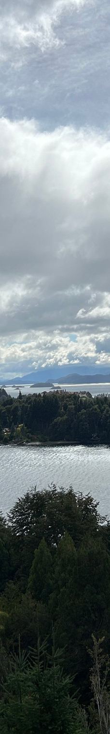 Punto Panorámico - Circuito Chico-巴里洛切县