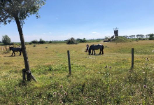 Groese duinen en polders景点图片