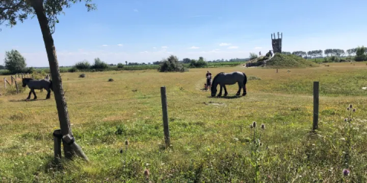 Groese duinen en polders