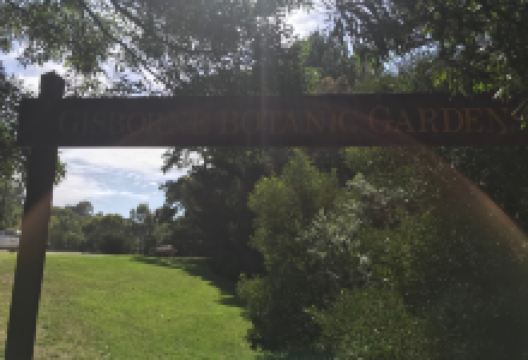 Gisborne Gardens景点图片