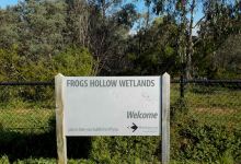 Frog's Hollow Wetlands景点图片