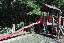 wald spielplatz景点图片