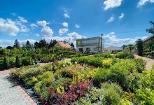 OASIS Gardencentrum购物图片