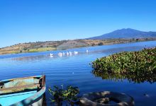 Mirador Laguna Colorada景点图片