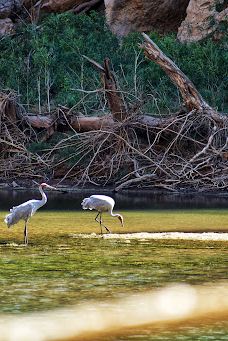 Bandilngan (Windjana Gorge) National Park-King Leopold Ranges