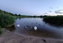 Derceklių tvenkinys景点图片