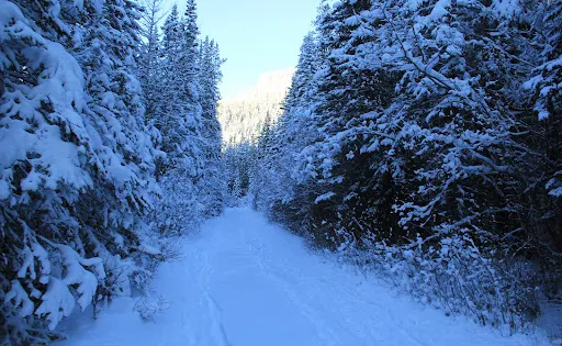 Nihahi Creek Trail