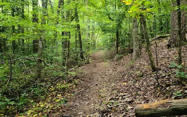 別克海德山脈原野